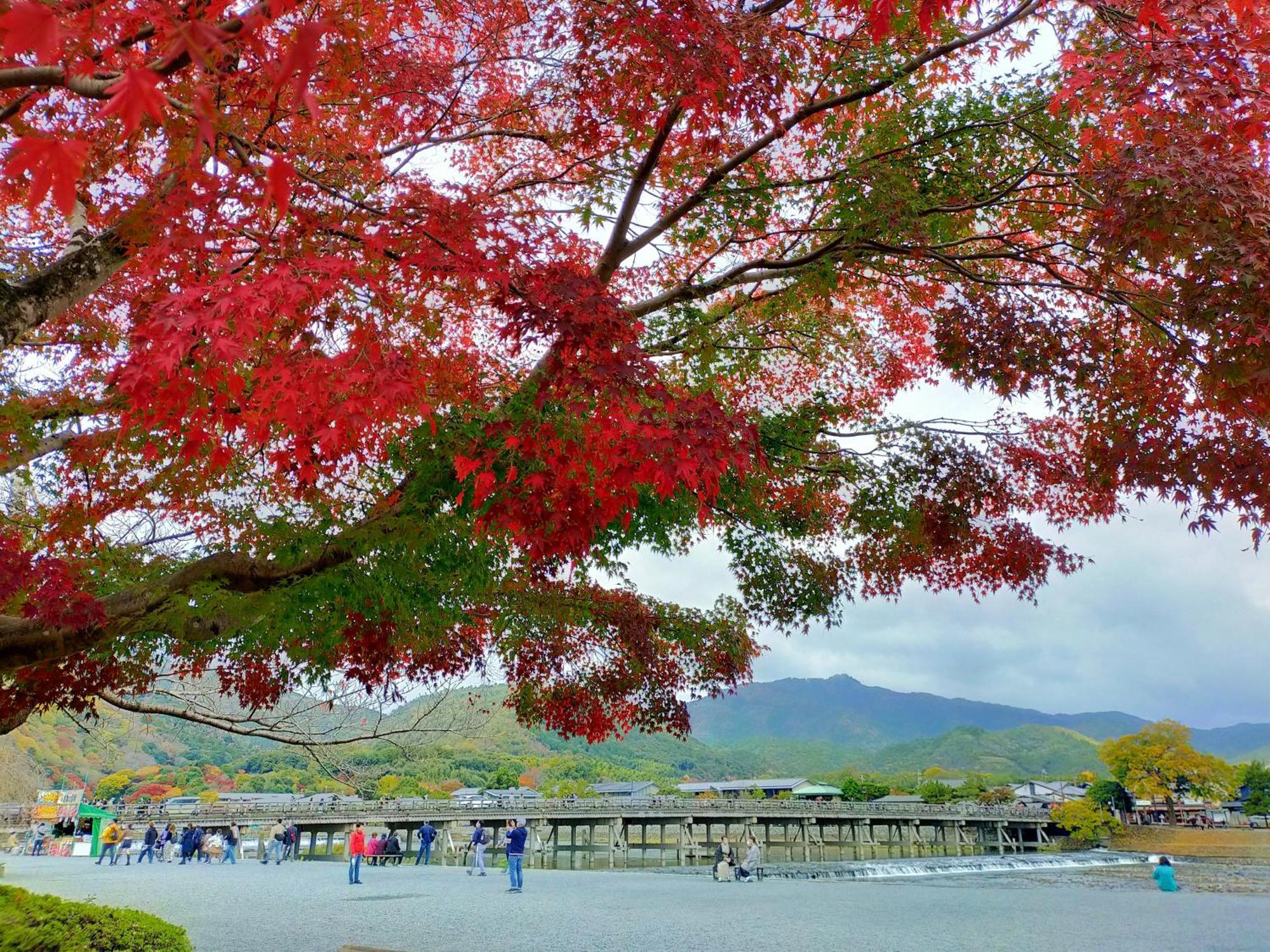 Kadensho, Arashiyama Onsen, Kyoto - Kyoritsu Resort Exteriör bild